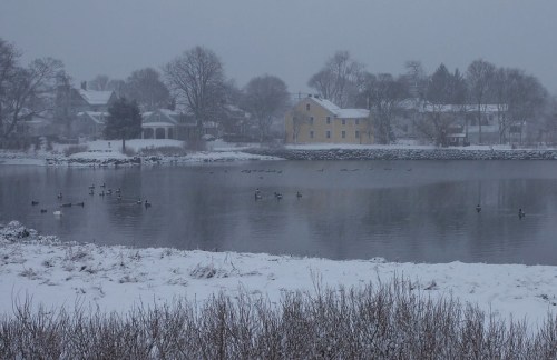 A snowy landscape with a calm river, ducks swimming, and a yellow house in the background under a gray sky.