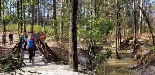 A group of hikers crosses a wooden bridge over a creek in a wooded area with tall trees and sunlight filtering through.