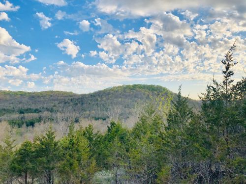 A scenic view of rolling hills under a blue sky filled with fluffy clouds, framed by green trees in the foreground.