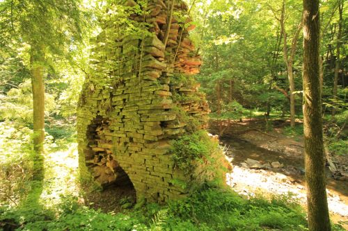 Ruins of a stone structure covered in greenery, surrounded by trees and a small stream in a forested area.