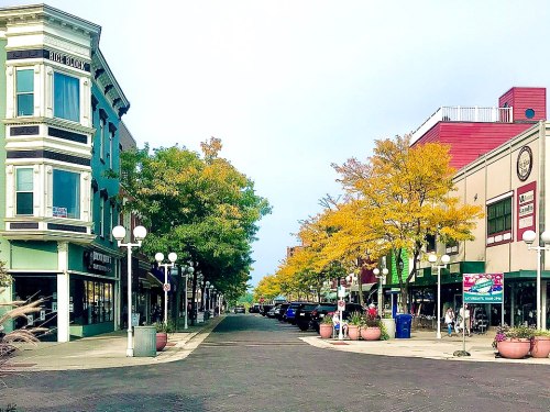 A tree-lined street with shops and colorful autumn foliage, featuring lampposts and parked cars.