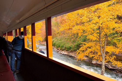 View from a train window showcasing vibrant autumn foliage and a flowing river. Passengers enjoy the scenic landscape.