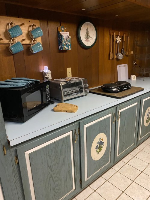 A cozy kitchen countertop with a microwave, toaster oven, griddle, and decorative mugs hanging on the wall.