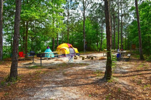 A serene camping site with colorful tents surrounded by trees, a fire pit, and picnic tables on a sunny day.