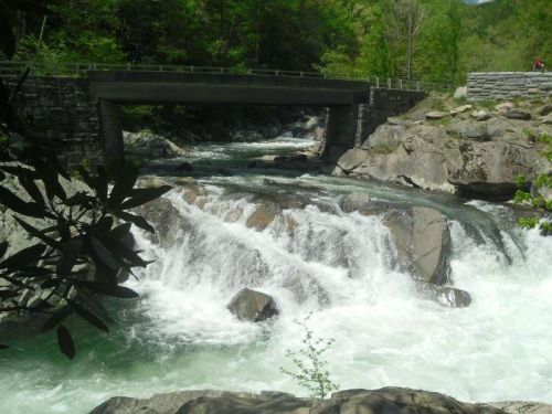 A rushing river flows under a stone bridge, surrounded by lush greenery and rocky terrain.