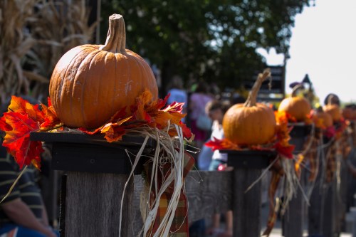Pumpkins adorned with autumn leaves sit on wooden posts, creating a festive fall atmosphere.