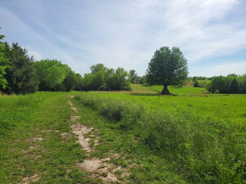 A grassy path leads through a lush green landscape with trees and a clear blue sky.