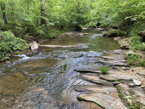 A serene stream flows through a lush green forest, with smooth rocks lining the water's edge.