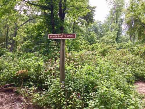 A wooden sign reading "Broken Bone Crossing" stands amidst dense green foliage in a wooded area.