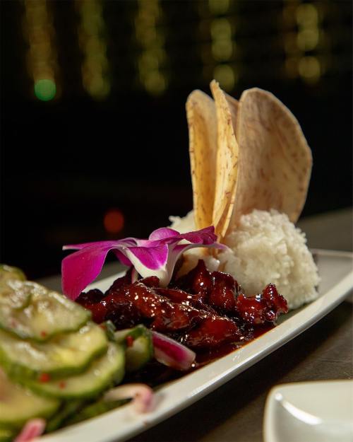 A plate featuring rice, sliced cucumbers, and a dark sauce with meat, garnished with a purple flower and tortilla chips.