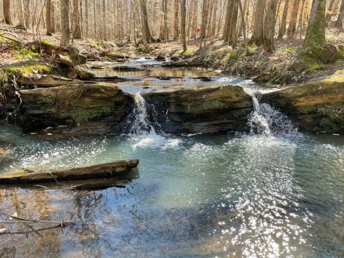 A serene forest scene featuring a small waterfall cascading over rocks into a clear stream, surrounded by trees.