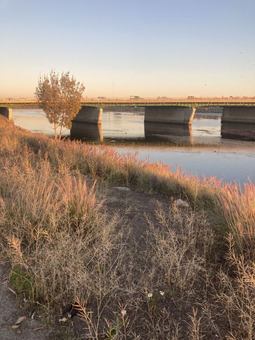A serene river scene at sunset, with a bridge in the background and tall grasses lining the shore.