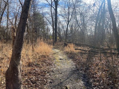 A winding gravel path through a wooded area with bare trees and dry grass under a partly cloudy sky.