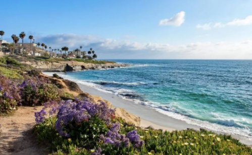 Coastal view with purple flowers, sandy beach, and calm blue ocean under a partly cloudy sky.