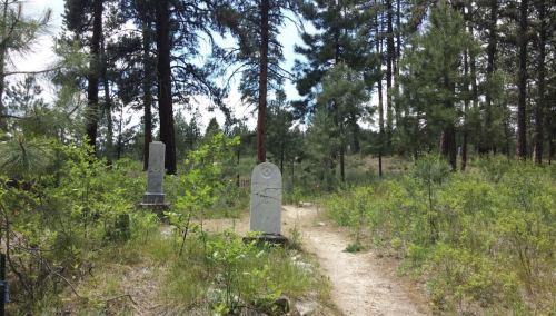 Two gravestones in a forested area, surrounded by trees and overgrown vegetation along a dirt path.