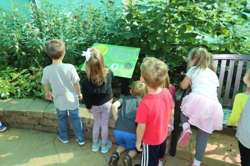 Children gather around a sign in a garden, curiously observing plants and nature.