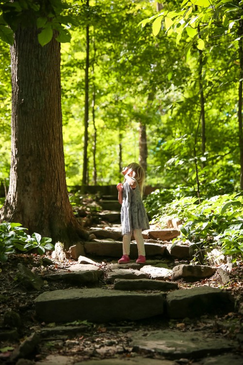 A young child in a gray dress stands on a stone path in a lush green forest, surrounded by trees and sunlight.