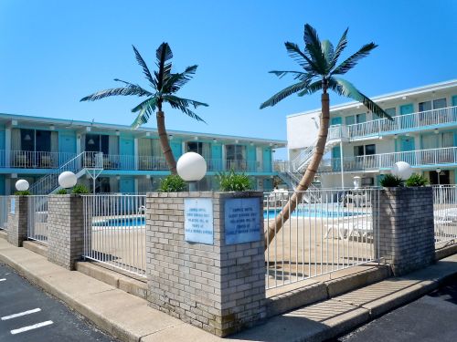 A sunny pool area surrounded by palm trees and a low brick wall, with a motel in the background.