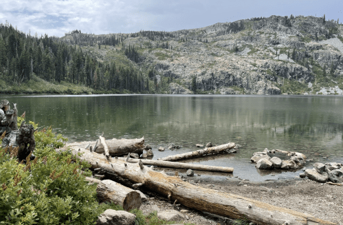 A serene lake surrounded by rocky hills and evergreen trees, with logs and stones along the shore.