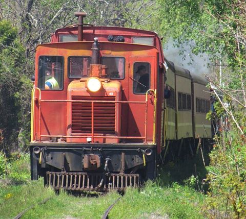 A vintage red train engine approaches on a narrow track surrounded by greenery and trees.