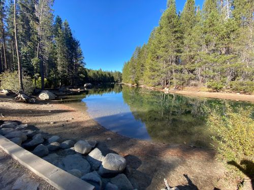 A serene lake surrounded by tall pine trees, reflecting the clear blue sky and rocky shoreline.