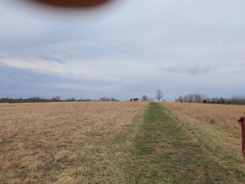 A grassy path leads through an open field under a cloudy sky, with trees in the distance.
