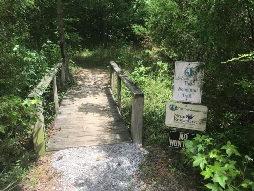 A wooden bridge leads into a lush, green woodland trail with signs indicating trail information and no hunting.