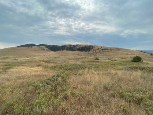 A wide, open landscape with dry grass and a distant hill under a cloudy sky.