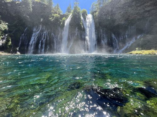 A serene waterfall cascades into a clear blue pool, surrounded by lush greenery and sunlight.