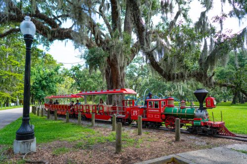 A colorful miniature train parked under large trees draped with Spanish moss in a lush green park.