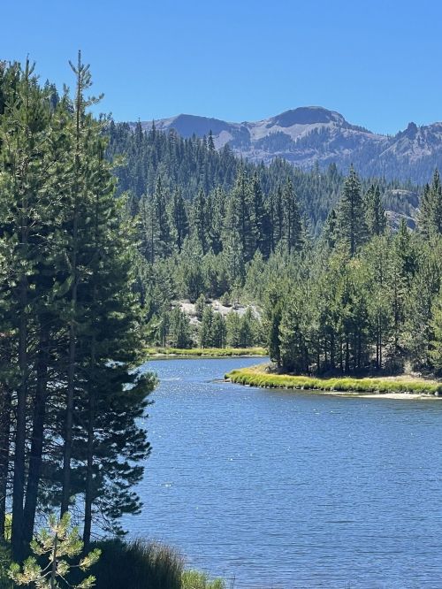 A serene lake surrounded by lush green trees and mountains under a clear blue sky.