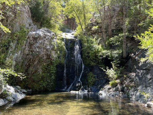 A serene waterfall cascading over rocks into a clear pool, surrounded by lush greenery and trees.