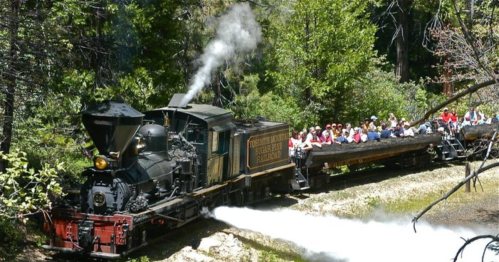 A vintage steam train travels through a forest, with passengers enjoying the scenic ride on a sunny day.