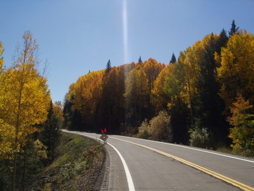 A winding road surrounded by vibrant autumn trees with yellow and orange leaves under a clear blue sky.