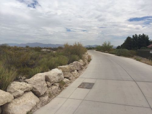 A winding pathway lined with rocks and shrubs, under a cloudy sky, leading into a distant landscape.