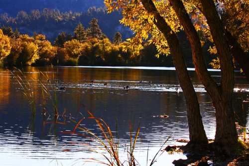 A serene lake surrounded by autumn trees, reflecting warm colors and gentle ripples on the water's surface.