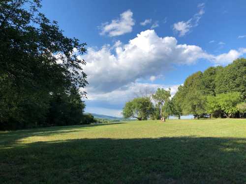 A grassy field under a blue sky with fluffy clouds, surrounded by trees and distant hills.