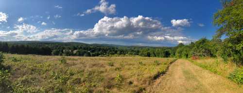 A panoramic view of a lush green landscape under a blue sky with fluffy clouds, featuring a winding dirt path.