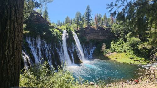 A scenic waterfall cascades into a turquoise pool, surrounded by lush greenery and tall trees under a clear blue sky.