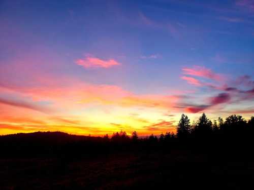 A vibrant sunset paints the sky in shades of pink, orange, and blue, silhouetting trees against the horizon.