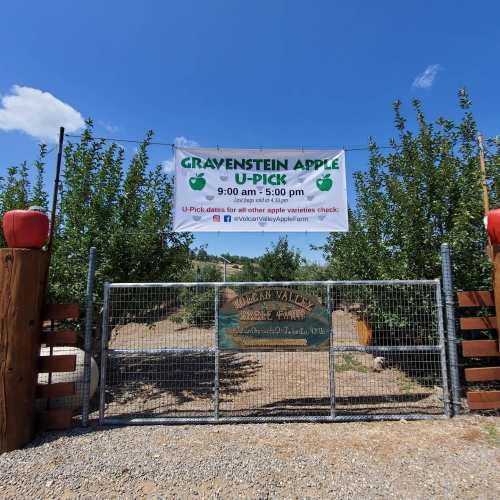 A sign for Gravenstein Apple U-Pick, with trees and a clear blue sky in the background. Open from 9:00 AM to 5:00 PM.