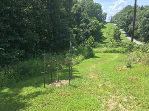 A grassy path leads to a wooded area, with a few metal posts and a road visible in the background.