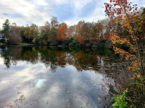 A serene lake reflecting colorful autumn trees under a cloudy sky.