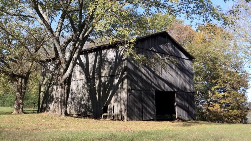 A rustic wooden barn surrounded by trees, with sunlight casting shadows on the ground.