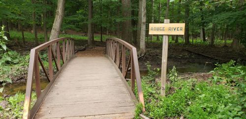 A wooden bridge over a small stream, with a sign reading "Rouge River" in a lush green forest.