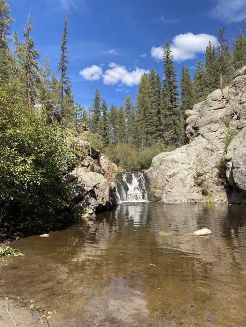 A serene waterfall cascades into a calm pool, surrounded by lush greenery and tall trees under a blue sky.