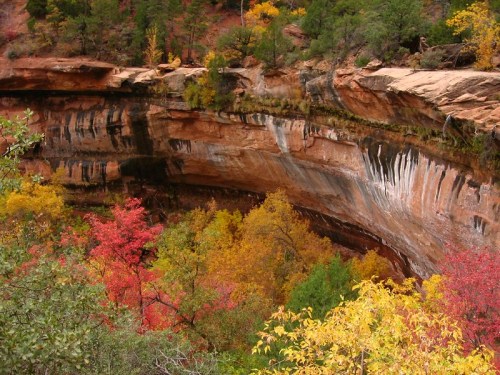 A vibrant canyon scene with colorful autumn foliage and layered rock formations.