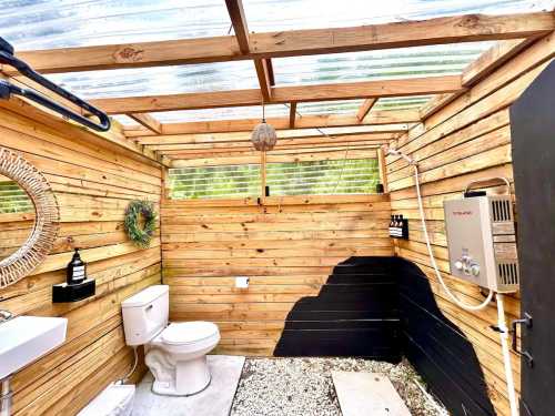 A rustic bathroom with wooden walls, a toilet, sink, and a shower, featuring natural light from a transparent roof.