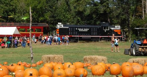 A pumpkin patch with hay bales, a train, and people enjoying a fall festival in a green field.