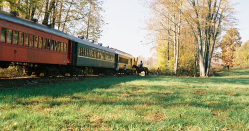 A vintage train with red and green cars travels through a scenic landscape of trees and grass in autumn.